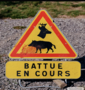 Battues actu