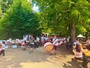 Sardine 23