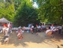 Sardine 5